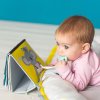 Розвиваюча Перекидна Книжка Taf Toys - Пригоди Коали Кіммі (12395) купити в магазині “Пустун” Фото 7