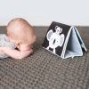 Розвиваюча Перекидна Книжка Taf Toys - Пригоди Коали Кіммі (12395) купити в магазині “Пустун” Фото 16