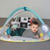 Развивающий Музыкальный Коврик С Дугами Taf Toys - Мир Вокруг (12435) купить в магазине “Пустун” Фото 4