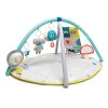 Развивающий Музыкальный Коврик С Дугами Taf Toys - Мир Вокруг (12435) купить в магазине “Пустун” Фото 13