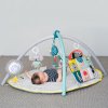 Развивающий Музыкальный Коврик С Дугами Taf Toys - Мир Вокруг (12435) купить в магазине “Пустун” Фото 11