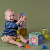 Розвиваючий сортер-пірамідка Taf Toys - Кубики Африка (12725) купити в магазині “Пустун” Фото 5