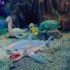 Стретч-іграшка у вигляді тварини Legend of animals - Морські доісторичні хижаки (128/CN22) купити в магазині “Пустун” Фото 3