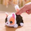 Інтерактивна іграшка Furreal серії My Mini's - Маленьке кошеня (28062) купити в магазині “Пустун” Фото 6