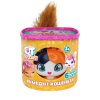 Игровой набор QT Kitties - Котенок Олли (450001-1) купить в магазине “Пустун” Фото 1