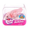 Інтерактивна іграшка Pets Alive - Аксолотль (рожевий) (9556A) купити в магазині “Пустун” Фото 1