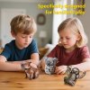 Трехмерная головоломка-конструктор Cubic Fun серии Дикие животные "Коала" (DS1176h) купить в магазине “Пустун” Фото 5
