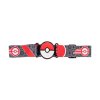 Игровой набор Pokemon W5 - Снаряжение тренера Иви (PKW3650) купить в магазине “Пустун” Фото 4