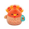 М'яка іграшка Squishmallows – Індик Гобріанна (SQHV00029) купити в магазині “Пустун” Фото 8