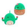Мягкая игрушка Squishmallows - Друзья Кактусы (2 шт, 19 cm) (SQVA00845) купить в магазине “Пустун” Фото 1