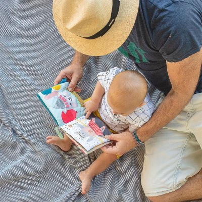 Развивающая книжка для коляски Taf Toys: Что наденет мишка Пол (12605) купить в магазине “Пустун”