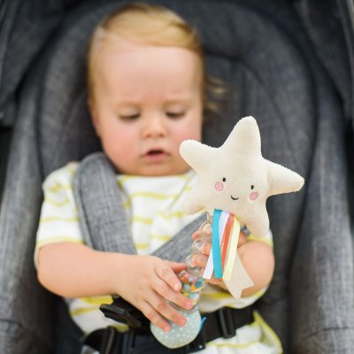Погремушка Taf Toys  Звездочка (12645) купить в магазине “Пустун”
