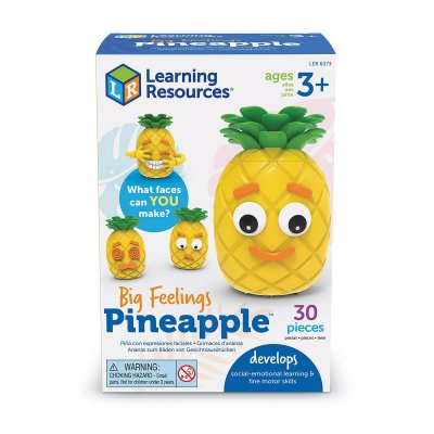 Навчальний ігровий набір LEARNING RESOURCES  Big Feelings Pineapple™ (Що відчуває ананас) (LER6373) купить в магазине “Пустун”