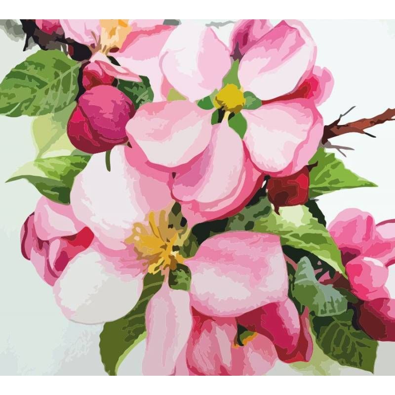 Картина по номерам "Яблоневый цвет" ★★☆ N00013255 купить в магазине “Пустун”